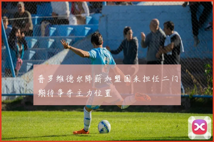 普罗维德尔降薪加盟国米担任二门期待争夺主力位置
