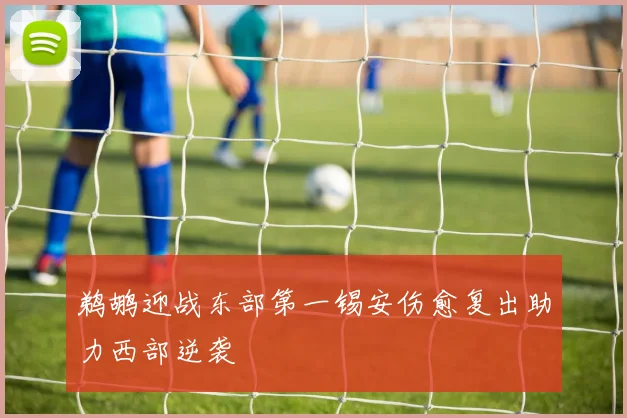 鹈鹕迎战东部第一锡安伤愈复出助力西部逆袭