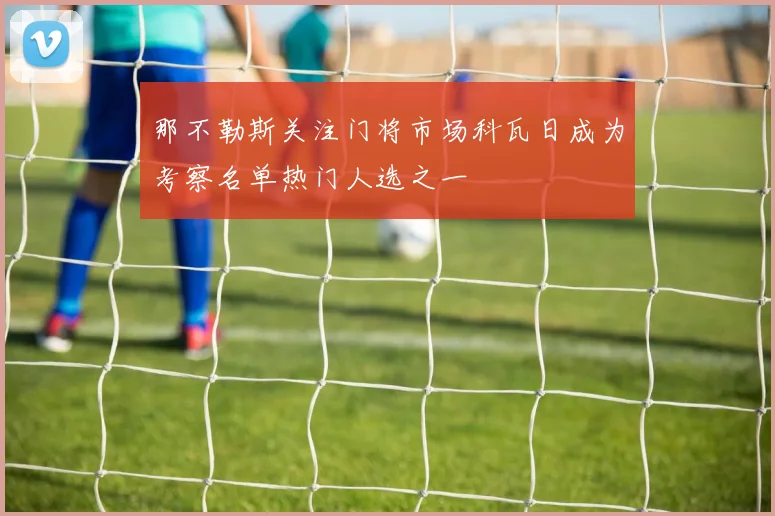 那不勒斯关注门将市场科瓦日成为考察名单热门人选之一